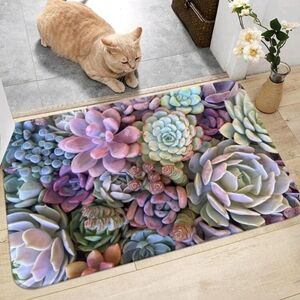 Colorful Succulent Mat